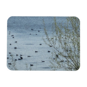 Lake Birds Flexible Magnet