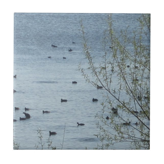 Lake Birds Tile (Front)