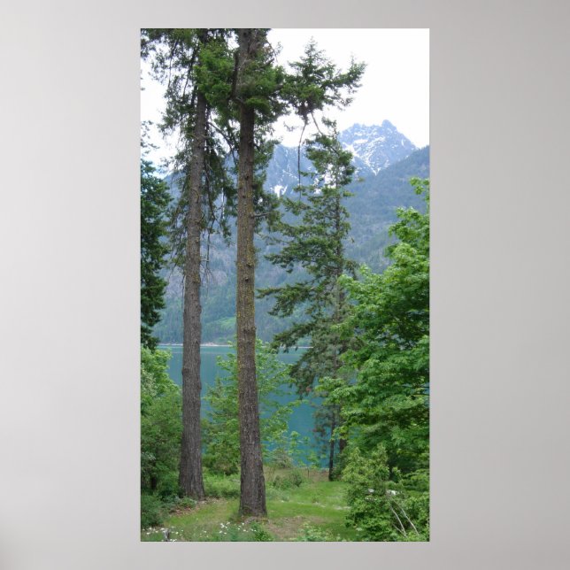 Lake Chelan Poster (Front)