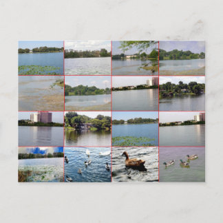 Lake Collage Postcard