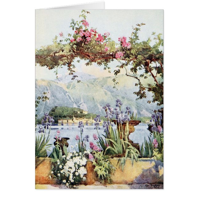 Lake Como Flowers (Front)