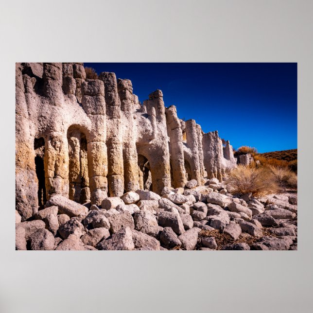 Lake Crowley Columns Poster (Front)