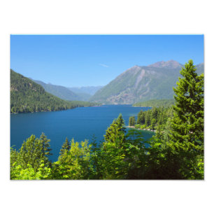 Lake Cushman Summer Print