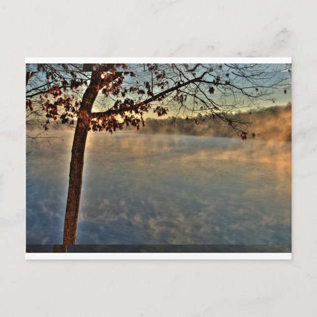 Lake DeSoto, Arkansas Postcard (Front)