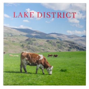 Lake District cows grazing view ceramic tile