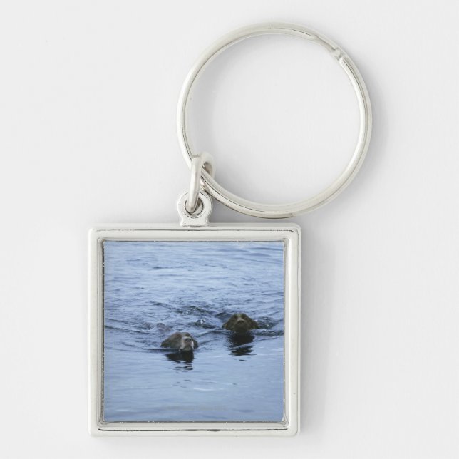 lake district cumbria england key ring (Front)