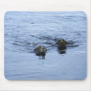 lake district cumbria england mouse pad