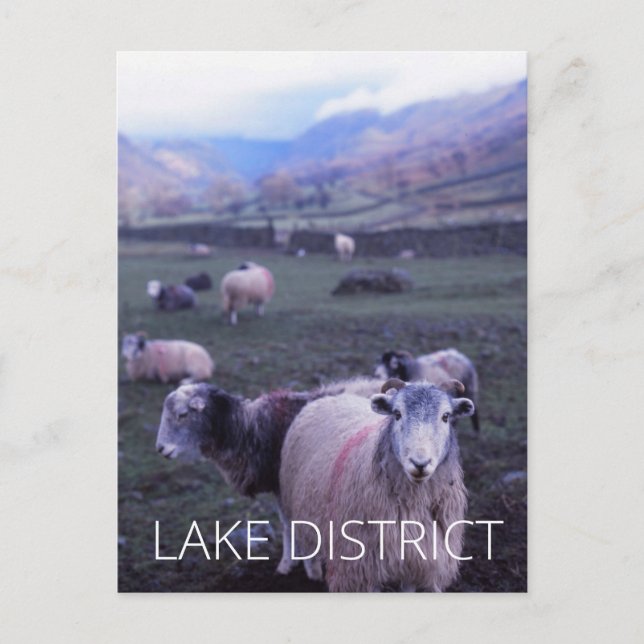 Lake District Postcard (Front)