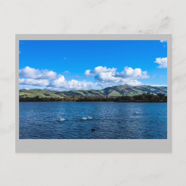 Lake Elizabeth  Fremont Ca. Postcard (Front)