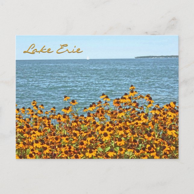 Lake Erie And Brown-eyed Susans/Lakeside, Ohio Postcard (Front)