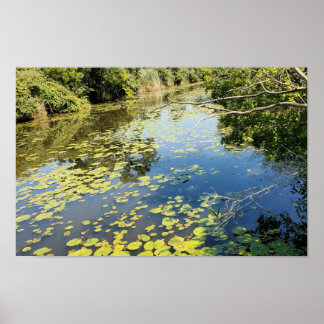 Lake Erie Metropark River View Poster