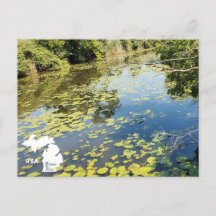 Lake Erie Metropark River View with Logo