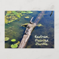 Lake Erie Metropark Turtle Log Vertical with Text