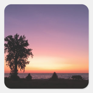 lake erie square sticker