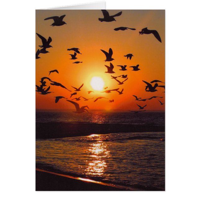 Lake Erie Sunset (Front)