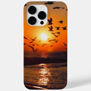Lake Erie Sunset Case-Mate iPhone 14 Pro Max Case