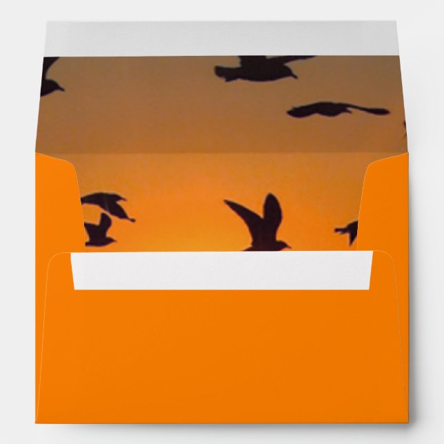 Lake Erie Sunset Envelopes (Back (Bottom))