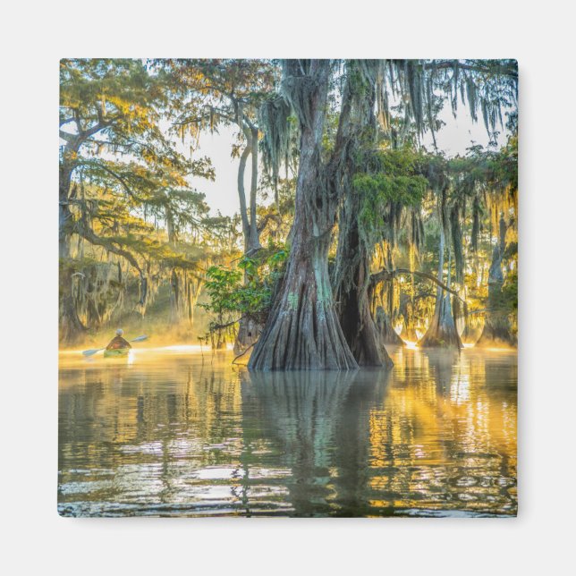 Lake Fausse Pointe State Park Magnet (Front)