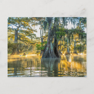 Lake Fausse Pointe State Park Postcard