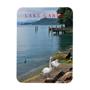 Lake Garda swans view fridge magnet