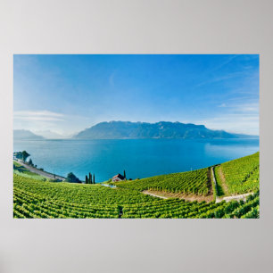 Lake Geneva (Lac Léman) 007 Poster