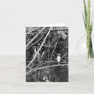 lake george holiday card