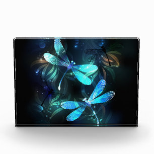 Lake Glowing Dragonflies Photo Block