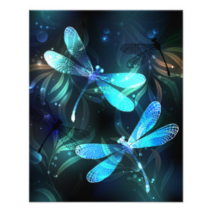 Lake Glowing Dragonflies Photo Print