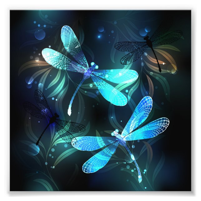 Lake Glowing Dragonflies Photo Print (Front)