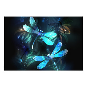Lake Glowing Dragonflies Photo Print