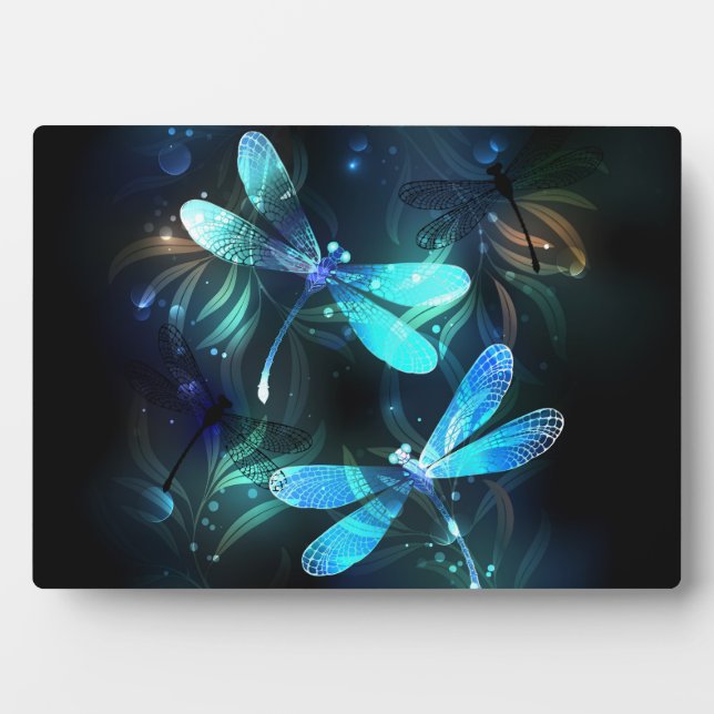 Lake Glowing Dragonflies Plaque (Front)