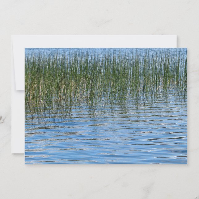 Lake Grasses Invitation (Front)