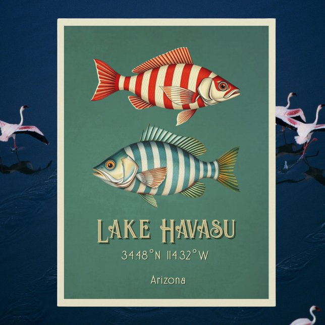 Lake Havasu Arizona fish Postcard (Creator Uploaded)