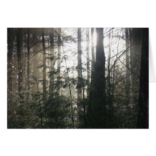 Lake Hill Winter, NY (Front Horizontal)