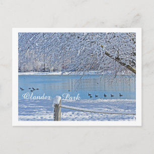 LAKE IN WINTER/OLANDER PARK, SYLVANIA, OH POSTCARD