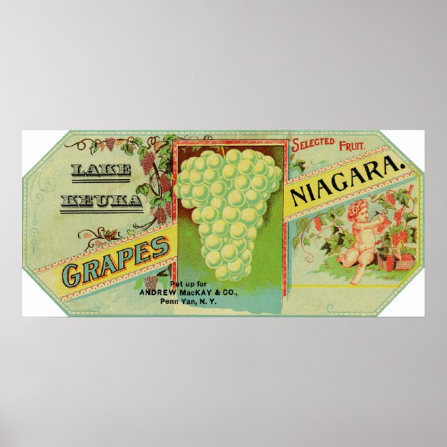 Lake Keuka Niagara Grapes Label Poster (Front)