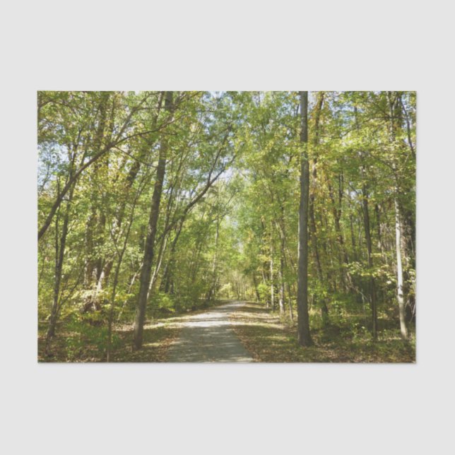 Lake Kittamaquandi Trail in Columbia Maryland Tissue Paper (Front)
