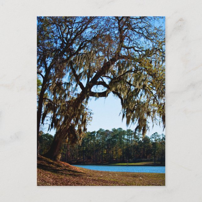 Lake Livingston postcard 2 (Front)