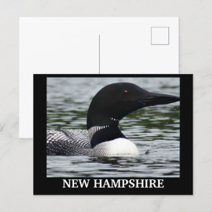 Lake Loon close up photo Postcard