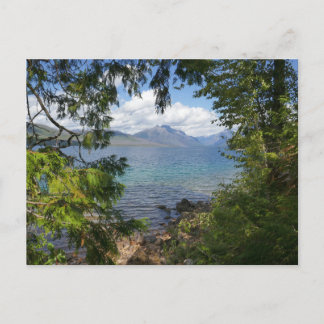 Lake McDonald Through Forest Frame Postcard