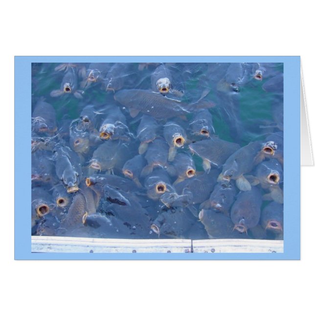 Lake Mead fishing (Front Horizontal)