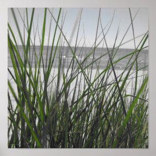 Lake Michigan behind grass Poster