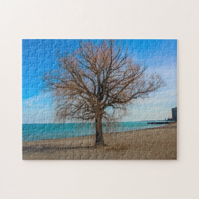 Lake Michigan Chicago Beach Puzzle (Horizontal)