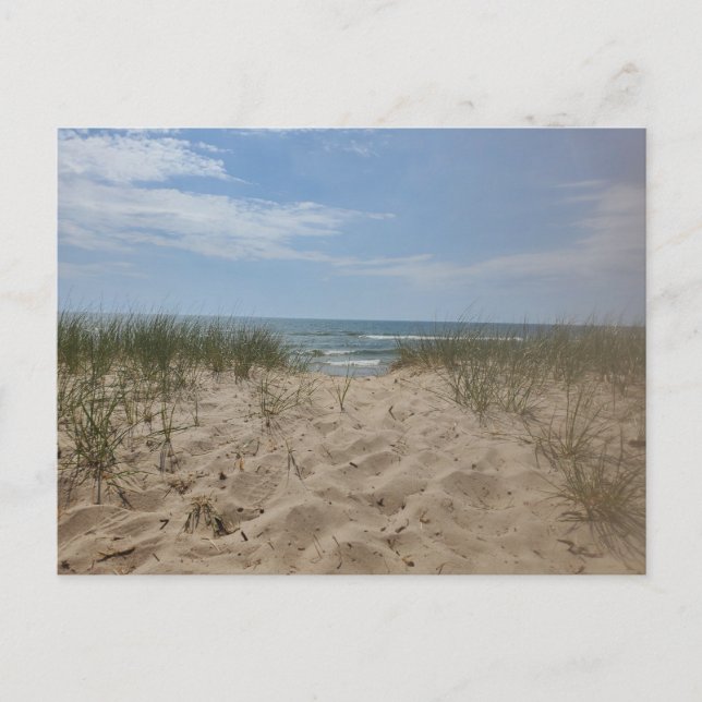 Lake Michigan Dunes Postcard (Front)