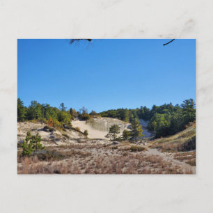 Lake Michigan Dunes Postcard