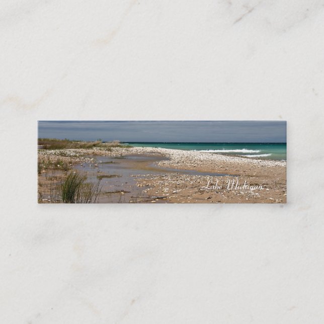 Lake Michigan Shore Mini Business Card (Front)