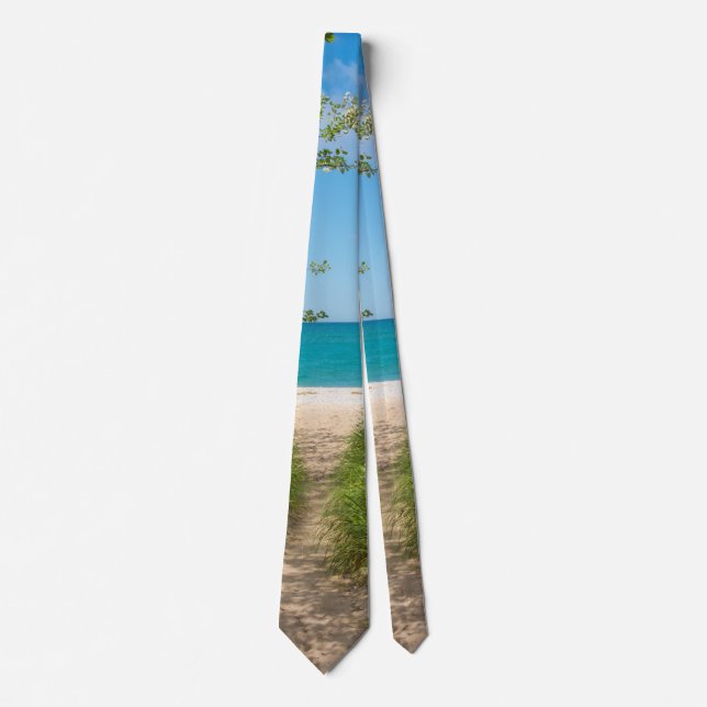 Lake Michigan Tranquillity Neck Tie (Front)