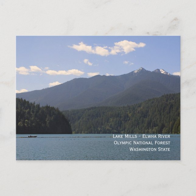 Lake Mills - Elwha River Postcard (Front)