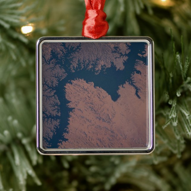 Lake Nasser Metal Tree Decoration (Tree)