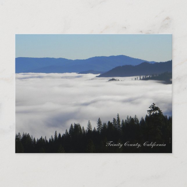 Lake of Fog... Postcard (Front)